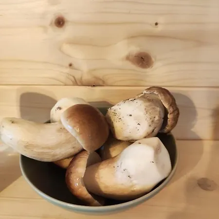 Prázdninový dům Dom Drewniany Z Sauna I Jacuzzi W Szklarskiej Porebie *