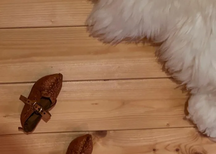 Σπίτι διακοπών Dom Drewniany Z Sauna I Jacuzzi W Szklarskiej Porebie